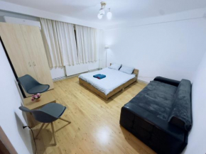 Apartment 2 Rooms Center